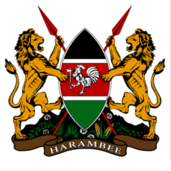 government government